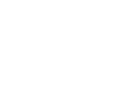 perlentaucher